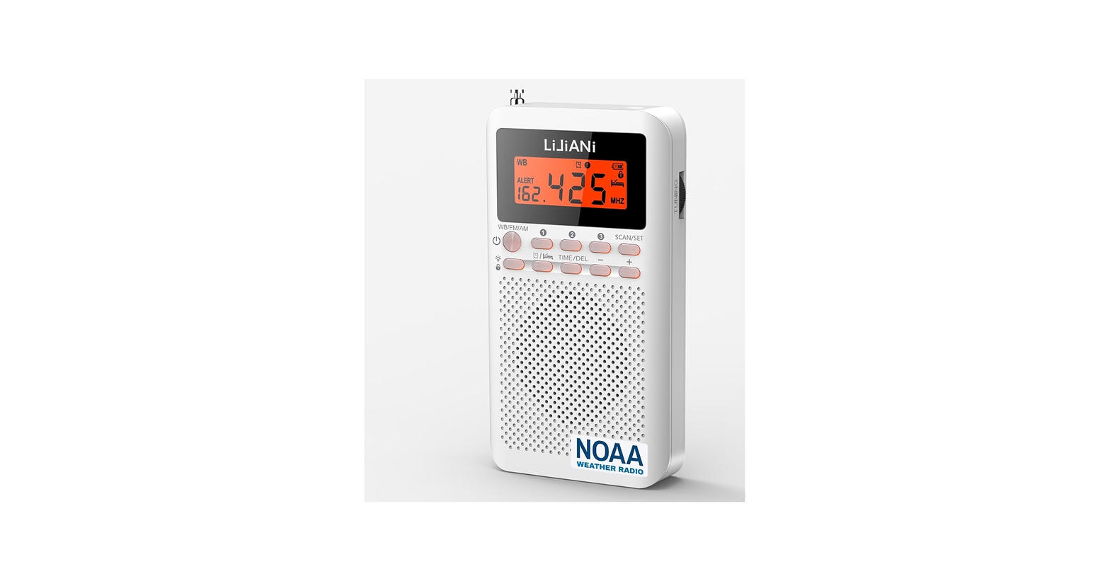 Example of compact emergency radio